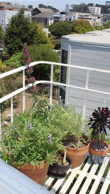 Image Missing: Window Box and Deck Gardening